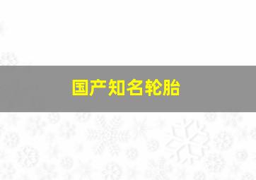 国产知名轮胎