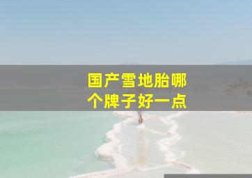 国产雪地胎哪个牌子好一点