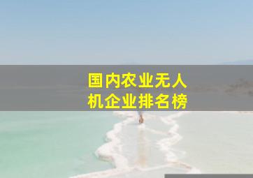 国内农业无人机企业排名榜