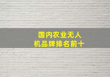 国内农业无人机品牌排名前十