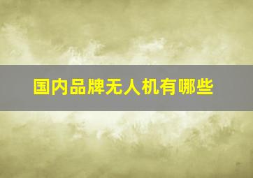 国内品牌无人机有哪些