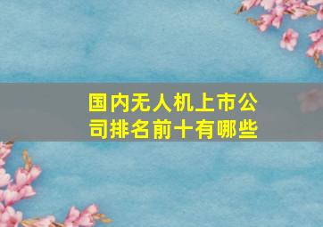 国内无人机上市公司排名前十有哪些