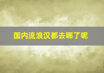 国内流浪汉都去哪了呢