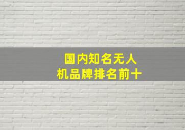 国内知名无人机品牌排名前十