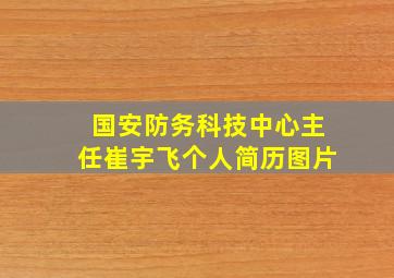 国安防务科技中心主任崔宇飞个人简历图片