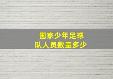 国家少年足球队人员数量多少