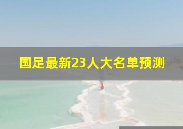 国足最新23人大名单预测