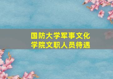 国防大学军事文化学院文职人员待遇