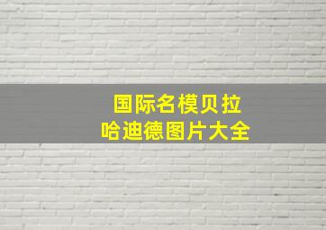 国际名模贝拉哈迪德图片大全