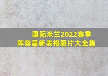 国际米兰2022赛季阵容最新表格图片大全集