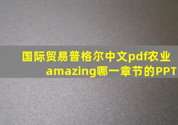 国际贸易普格尔中文pdf农业amazing哪一章节的PPT