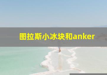 图拉斯小冰块和anker