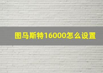 图马斯特16000怎么设置