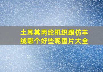 土耳其丙纶机织跟仿羊绒哪个好些呢图片大全