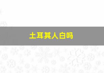 土耳其人白吗