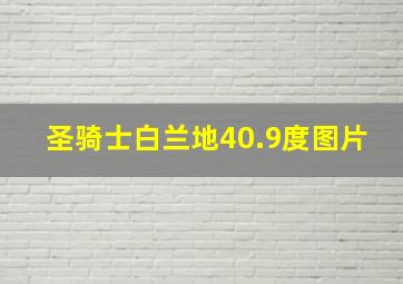 圣骑士白兰地40.9度图片