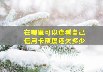 在哪里可以查看自己信用卡额度还欠多少