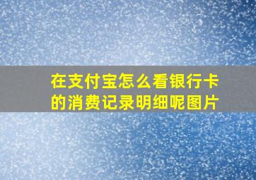 在支付宝怎么看银行卡的消费记录明细呢图片