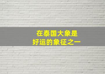 在泰国大象是好运的象征之一