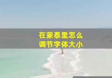 在蒙泰里怎么调节字体大小