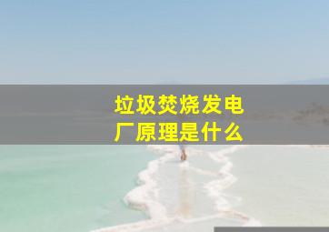 垃圾焚烧发电厂原理是什么