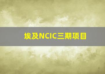 埃及NCIC三期项目