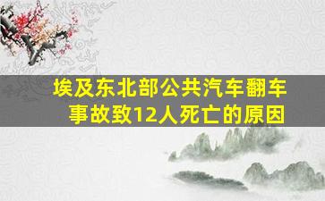 埃及东北部公共汽车翻车事故致12人死亡的原因