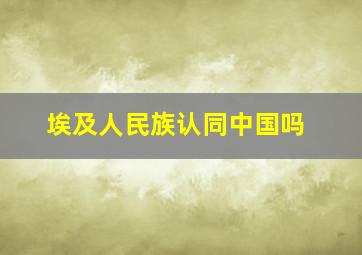 埃及人民族认同中国吗