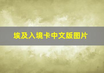 埃及入境卡中文版图片