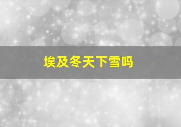 埃及冬天下雪吗