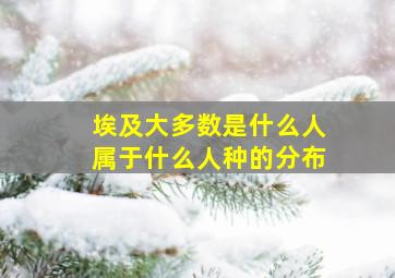 埃及大多数是什么人属于什么人种的分布