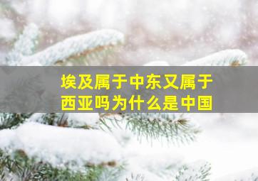 埃及属于中东又属于西亚吗为什么是中国