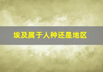 埃及属于人种还是地区