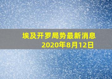 埃及开罗局势最新消息2020年8月12日