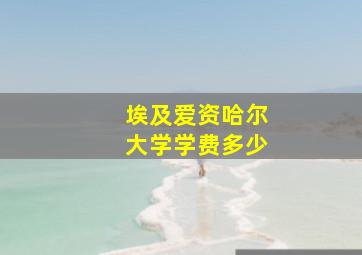 埃及爱资哈尔大学学费多少