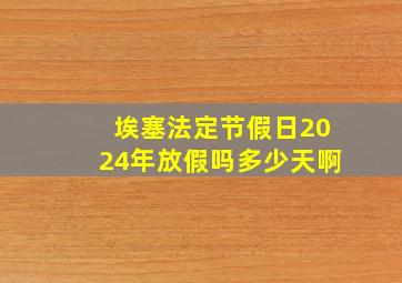 埃塞法定节假日2024年放假吗多少天啊