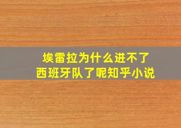 埃雷拉为什么进不了西班牙队了呢知乎小说