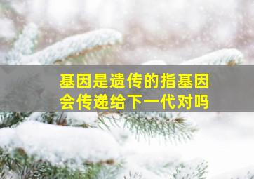 基因是遗传的指基因会传递给下一代对吗