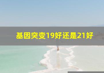 基因突变19好还是21好