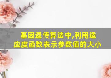 基因遗传算法中,利用适应度函数表示参数值的大小