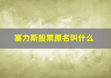 塞力斯股票原名叫什么