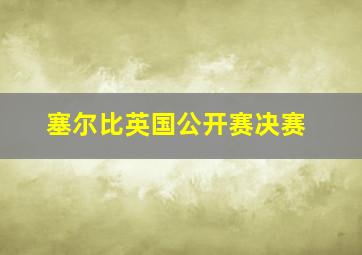 塞尔比英国公开赛决赛