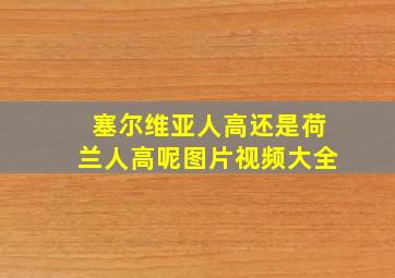 塞尔维亚人高还是荷兰人高呢图片视频大全