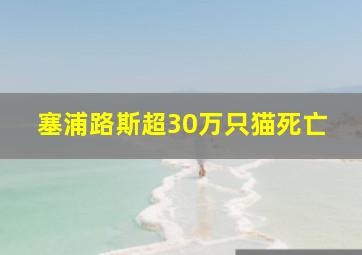 塞浦路斯超30万只猫死亡