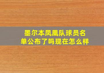 墨尔本凤凰队球员名单公布了吗现在怎么样