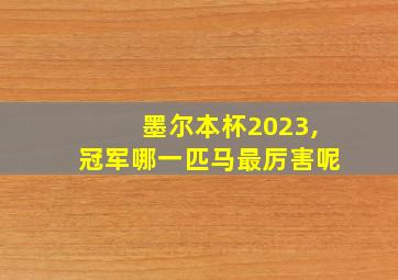 墨尔本杯2023,冠军哪一匹马最厉害呢