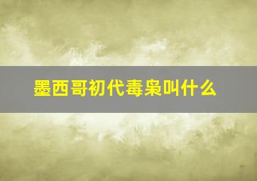 墨西哥初代毒枭叫什么