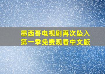 墨西哥电视剧再次坠入第一季免费观看中文版