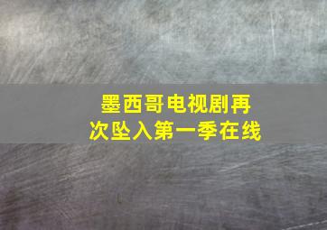 墨西哥电视剧再次坠入第一季在线