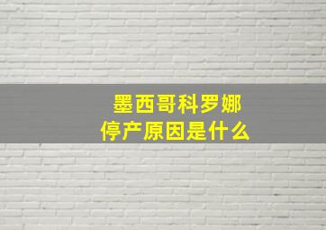 墨西哥科罗娜停产原因是什么